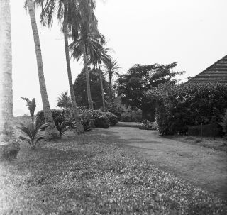 Link zum Foto | Kamerun, Paul Lieberenz, Afrika, Kamerun, Kolonisation