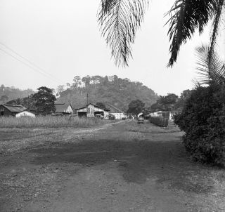 Link zum Foto | Kamerun, Paul Lieberenz, Afrika, Kamerun, Kolonisation