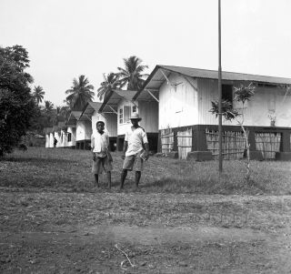 Link zum Foto | Kamerun, Paul Lieberenz, Afrika, Kamerun, Kolonisation