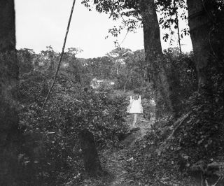 Link zum Foto | Kamerun, Paul Lieberenz, Afrika, Kamerun, Kolonisation