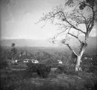 Link zum Foto | Kamerun, Paul Lieberenz, Afrika, Kamerun, Kolonisation