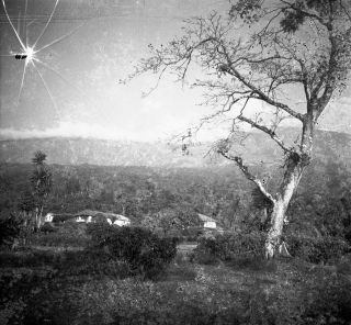 Link zum Foto | Kamerun, Paul Lieberenz, Afrika, Kamerun, Kolonisation