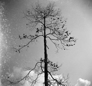 Link zum Foto | Kamerun, Paul Lieberenz, Afrika, Kamerun, Kolonisation