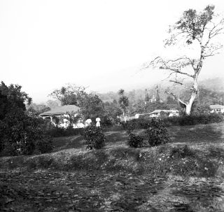 Link zum Foto | Kamerun, Paul Lieberenz, Afrika, Kamerun, Kolonisation