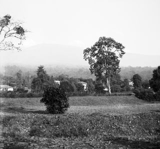 Link zum Foto | Kamerun, Paul Lieberenz, Afrika, Kamerun, Kolonisation