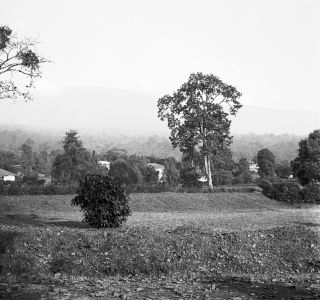 Link zum Foto | Kamerun, Paul Lieberenz, Afrika, Kamerun, Kolonisation