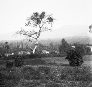 Link zum Foto | Kamerun, Paul Lieberenz, Afrika, Kamerun, Kolonisation