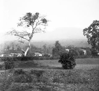 Link zum Foto | Kamerun, Paul Lieberenz, Afrika, Kamerun, Kolonisation