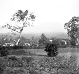 Link zum Foto | Kamerun, Paul Lieberenz, Afrika, Kamerun, Kolonisation