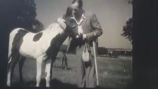 Link zum Video | Gestüt, Paul Lieberenz, Pferdezucht, Pferde, Deutschland, 1950er, Bad Homburg vor der Höhe, Gestüt Erlenhof