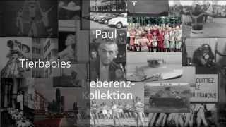 Link to Video | Paul Karl Lieberenz