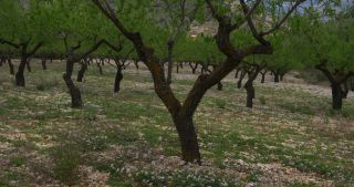 Link zum Video | Spanien, Alicante, Valencianische Gemeinschaft, Dénia