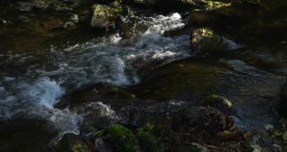 Link to Video | Rhineland-Palatinate, autumn, Kleine Dhron, stream, Heidenburg, Thalfang am Erbeskopf, Bernkastel-Wittlich