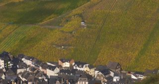 Link to Video | landscape, Rhineland-Palatinate, autumn, Moselle, Germany