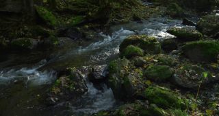 Link to Video | Rhineland-Palatinate, autumn, Kleine Dhron, stream, Heidenburg, Thalfang am Erbeskopf, Bernkastel-Wittlich