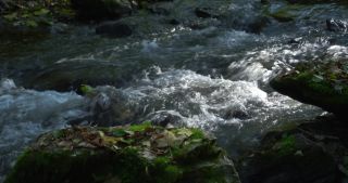 Link to Video | Rhineland-Palatinate, autumn, Kleine Dhron, stream, Heidenburg, Thalfang am Erbeskopf, Bernkastel-Wittlich