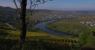 Link to Video | landscape, Rhineland-Palatinate, autumn, Moselle, Germany