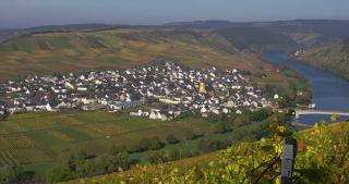 Link zum Video | Landschaft, Rheinland-Pfalz, Herbst, Mosel, Deutschland