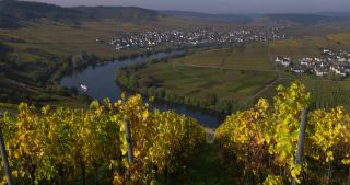 Link to Video | landscape, Rhineland-Palatinate, autumn, Moselle, Germany
