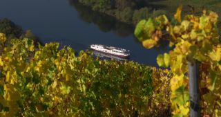 Link to Video | landscape, Rhineland-Palatinate, autumn, Moselle, Germany