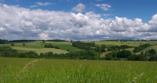 Link to Video | landscape, Saarland, spring, Germany, 4K resolution, 2020, Marpingen