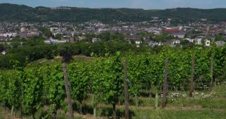 Link to Video | Rhineland-Palatinate, Germany, Trier
