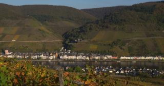 Link zum Video | Landschaft, Rheinland-Pfalz, Herbst, Mosel, Deutschland
