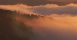 Link to Video | landscape, Saarland, autumn, Saar, Germany, sunrise, 4K resolution, 2020, fog, forest, Saarschleife, Mettlach, Merzig-Wadern