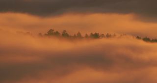 Link to Video | landscape, Saarland, autumn, Saar, Germany, sunrise, 4K resolution, 2020, fog, forest, Saarschleife, Mettlach, Merzig-Wadern