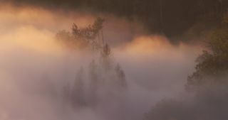 Link to Video | landscape, Saarland, autumn, Saar, Germany, sunrise, 4K resolution, 2020, fog, forest, Saarschleife, Mettlach, Merzig-Wadern