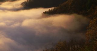 Link to Video | landscape, Saarland, autumn, Saar, Germany, sunrise, 4K resolution, 2020, fog, forest, Saarschleife, Mettlach, Merzig-Wadern