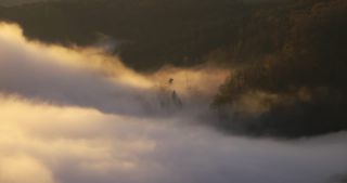 Link to Video | landscape, Saarland, autumn, Saar, Germany, sunrise, 4K resolution, 2020, fog, forest, Saarschleife, Mettlach, Merzig-Wadern