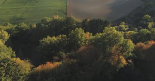 Link to Video | landscape, Saarland, autumn, rural area, Germany, aerial shot, upland