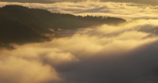 Link to Video | landscape, Saarland, autumn, Saar, Germany, sunrise, 4K resolution, 2020, fog, forest, Saarschleife, Mettlach, Merzig-Wadern