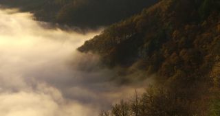 Link to Video | landscape, Saarland, autumn, Saar, Germany, sunrise, 4K resolution, 2020, fog, forest, Saarschleife, Mettlach, Merzig-Wadern