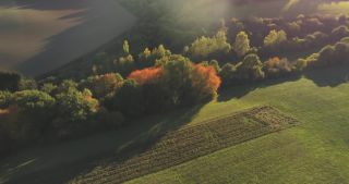 Link to Video | landscape, Saarland, autumn, rural area, Germany, aerial shot, upland