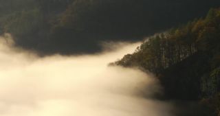 Link to Video | landscape, Saarland, autumn, Saar, Germany, sunrise, 4K resolution, 2020, fog, forest, Saarschleife, Mettlach, Merzig-Wadern