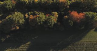 Link zum Video | Landschaft, Saarland, Herbst, ländlicher Raum, Deutschland, Luftaufnahme, Hochland