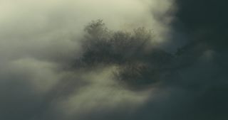 Link to Video | landscape, Saarland, autumn, Saar, Germany, sunrise, 4K resolution, 2020, fog, forest, Saarschleife, Mettlach, Merzig-Wadern