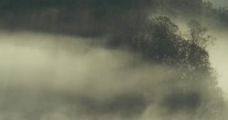 Link to Video | landscape, Saarland, autumn, Saar, Germany, sunrise, 4K resolution, 2020, fog, forest, Saarschleife, Mettlach, Merzig-Wadern