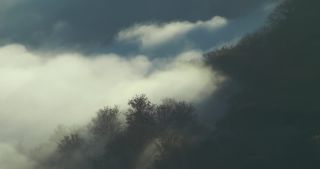 Link to Video | landscape, Saarland, autumn, Saar, Germany, sunrise, 4K resolution, 2020, fog, forest, Saarschleife, Mettlach, Merzig-Wadern