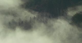 Link to Video | landscape, Saarland, autumn, Saar, Germany, sunrise, 4K resolution, 2020, fog, forest, Saarschleife, Mettlach, Merzig-Wadern