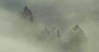 Link to Video | landscape, Saarland, autumn, Saar, Germany, sunrise, 4K resolution, 2020, fog, forest, Saarschleife, Mettlach, Merzig-Wadern