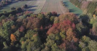 Link to Video | landscape, Saarland, autumn, rural area, Germany, aerial shot, upland