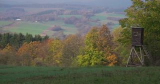 Link zum Video | Landschaft, Baum, Saarland, Herbst, Deutschland, Acker, Agrarland, Marpingen, Landkreis St. Wendel