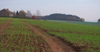 Link to Video | landscape, tree, Saarland, autumn, Germany, field, agricultural land, Marpingen, St. Wendel