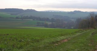 Link to Video | landscape, tree, Saarland, autumn, Germany, field, agricultural land, Marpingen, St. Wendel
