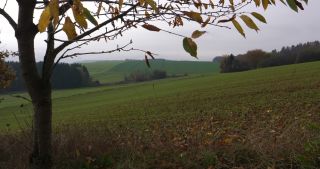 Link to Video | landscape, tree, Saarland, autumn, Germany, field, agricultural land, Marpingen, St. Wendel
