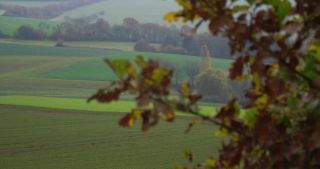 Link to Video | landscape, tree, Saarland, autumn, Germany, field, agricultural land, Marpingen, St. Wendel