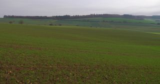 Link to Video | landscape, tree, Saarland, autumn, Germany, field, agricultural land, Marpingen, St. Wendel
